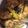 Cooksnap dari galuhps untuk resep Ukep Ayam Goreng Bumbu Kuning