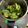 El cooksnap de Marieta cuando hizo Crema de verduras TM6.