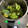 El cooksnap de Marieta cuando hizo Crema de verduras TM6.