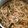 saumya's cooksnap of when they made Veg noodles.