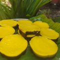 Cooksnap dari Rianty RiaNty untuk resep Kue Negro