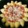 Cooksnap dari Lidiya Wati untuk resep Pizza terong