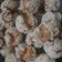 Cooksnap dari Lovely JoaNNa untuk resep Roti ketawa mini / mini onde-onde ketawa