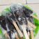 Cooksnap dari Sevti Wijaya untuk resep Ice cream pisang coklat