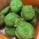 Cooksnap dari Ayindha untuk resep Gandasturi
