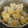 Cooksnap dari Nisa Husnainna untuk resep Dimsum ayam