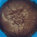 Falguni Shah's cooksnap of when they made Wheat mug cake.