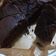 Cooksnap dari Syaninditya Nevy untuk resep Fudgy Brownies