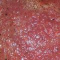 El cooksnap de M cuando hizo Salsa para pizza.