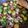 Robert Greenwood's cooksnap of when they made Carmelized Bacon Brussel Sprouts.