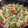 El cooksnap de macorose66 cuando hizo Fresas Cubiertas de chocolate y nueces.
