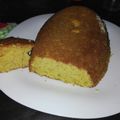 El cooksnap de pato cuando hizo Budín de mandarina en licuadora.