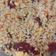 Cooksnap dari Snag Frozen untuk resep Nasi Goreng Lapciong
