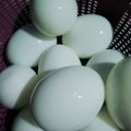 Cooksnap dari Winda untuk resep Telur rebus kilat 5 menit, irit gas, irit air, irit waktu