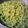 Cooksnap dari Nano~Nanoo untuk resep Homemade noodle