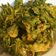 Cooksnap dari Faricha Zaenuri untuk resep Kripik bayam