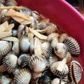 Cooksnap dari Phipit Inoey untuk resep Kerang Dara Saus Asam Manis