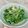 肉圓的媽媽 的 胡麻醬佐龍鬚菜 cooksnap
