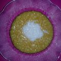 Cooksnap dari ridho umayanti untuk resep Bubur Merah Bubur Putih