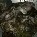 Cooksnap dari fini wirda untuk resep Cumi Pedas