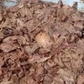 Cooksnap dari dini damayanti untuk resep Gudeg jogja mantep betul