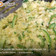 El cooksnap de Charly Yarce cuando hizo Cacerola de huevo con calabazas, cebolla y queso.