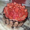 صورة من مريم (سيدة الكبرياء)، شاركها بعد تجربة وصفة كيكة الشوكولا والفراولة