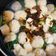 Cooksnap dari astrid bunga untuk resep *Sup Bola-Bola Ayam*