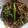 Sumita Roychowdhury's cooksnap of when they made মোচার ঘন্ট (Mochar Ghonto recipe in Bengali).