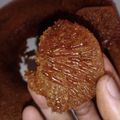Cooksnap dari Win untuk resep Bolu Karamel/Sarang Semut 2 Telur