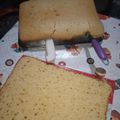El cooksnap de Flor Raffo cuando hizo Torta fácil y esponjosa.