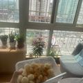 Cooksnap dari Riyana Istiqoma untuk resep ✅ Cimol