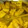 Cooksnap dari Subias Tutik untuk resep Ayam dan tahu bumbu kuning tanpa santan