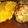 El cooksnap de verito17 cuando hizo Ataditos de pollo relleno con puré mixto.