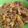 Cooksnap dari mama abbas untuk resep Mie Goreng Burung Dara