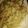 Vaishali Arora's cooksnap of when they made White souce pasta.