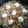 Jens Bergmann's cooksnap of when they made Schnelle Spitzkohl Pfanne mit Hackfleisch.