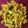 Sudha Banjara Vasani's cooksnap of when they made ખાંડવી (Khandvi recipe in gujarati).
