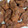 El cooksnap de betytrasfi@outlook.com cuando hizo Pollo frito estilo KFC.