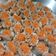 Cooksnap dari desi untuk resep Dimsum Ayam Wortel