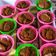 Cooksnap dari Rini Marini Nyimas untuk resep Bolkus gula merah