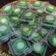 Cooksnap dari Putri untuk resep Kue nona manis