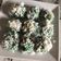 Cooksnap dari Maya Listanti untuk resep Klepon Tradisional