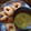 parmeet kaur's cooksnap of when they made Mix dal vada with sambar.