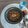 El cooksnap de Juan Jose Borrero Gomez cuando hizo Lentejas pardinas con arroz y atún rojo en conservas.