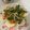 รูป Cooksnap ของ tung o เมื่อเขาทำ ยำไข่ต้ม​ + หมูสับ​ เห็ดชิเมจิ