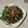 Cooksnap dari girl loves cooking untuk resep Balado tempe kangkung