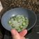 Cooksnap dari vina untuk resep Sayur Bening Oyong