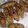Fiza Iftikhar Malik 's cooksnap of when they made Chicken kabab.
