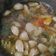 Cooksnap dari Sofia untuk resep Sayur Sop Simple